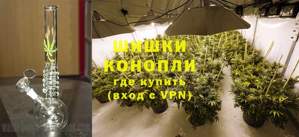 круглые Осинники