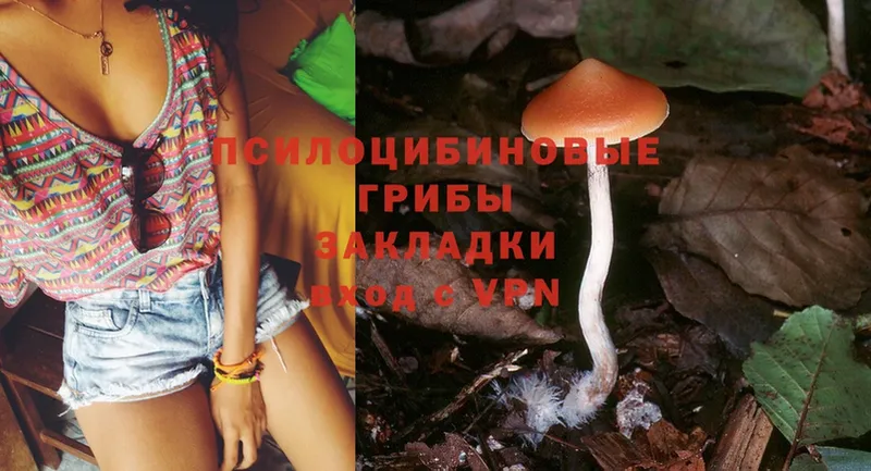 Галлюциногенные грибы Cubensis  Краснослободск 