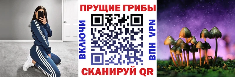 как найти наркотики  Краснослободск  Псилоцибиновые грибы ЛСД 
